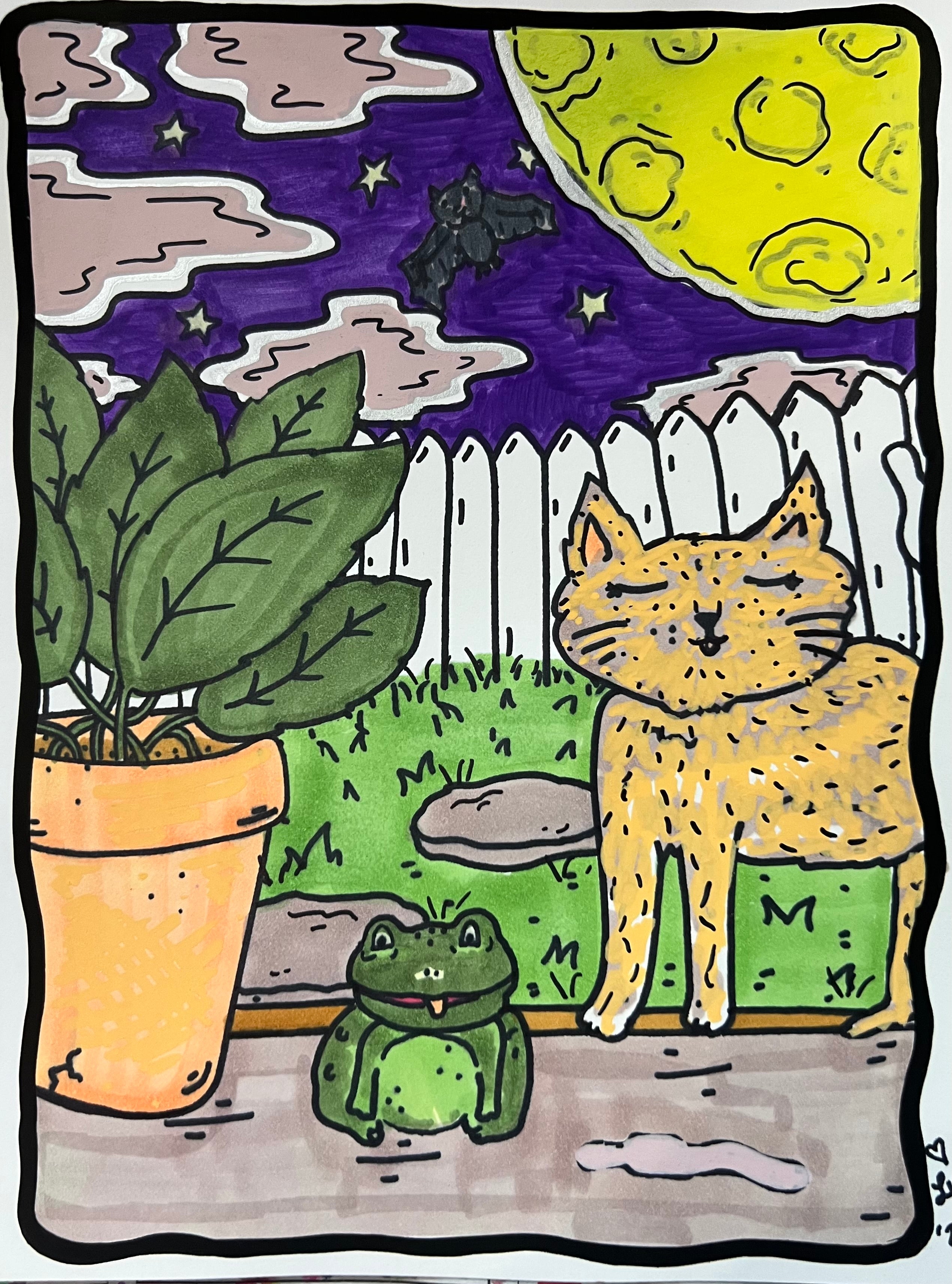 Cat and frog drawing